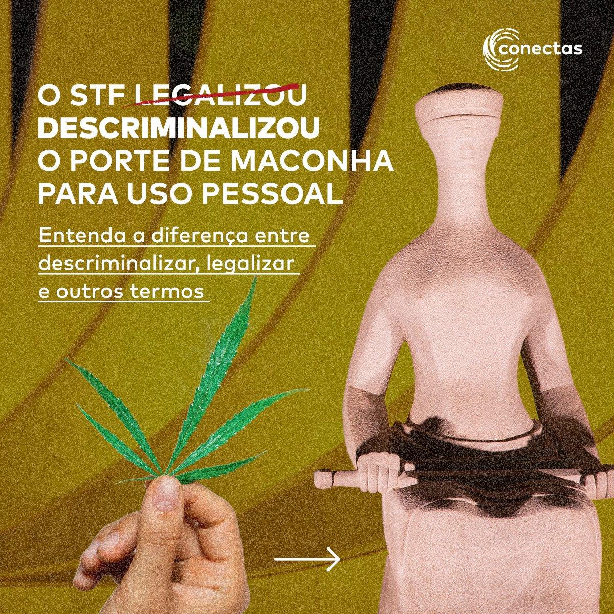 Conectas tweet media