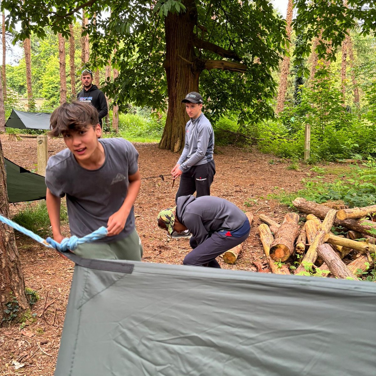 Milbourne Lodge Trips tweet media