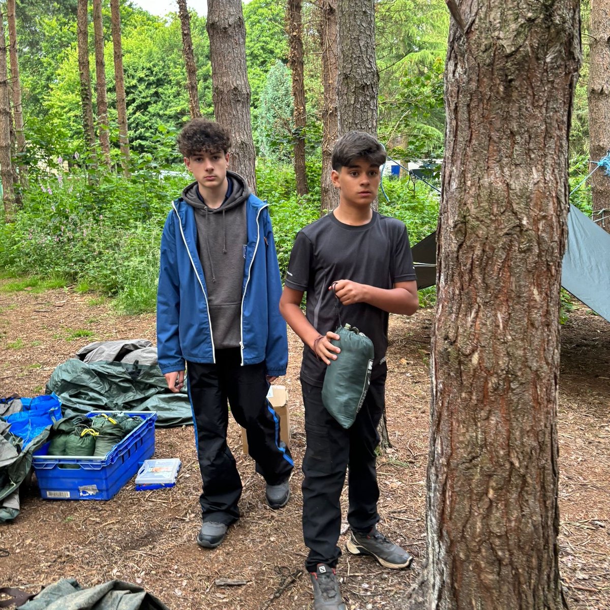 Milbourne Lodge Trips tweet media