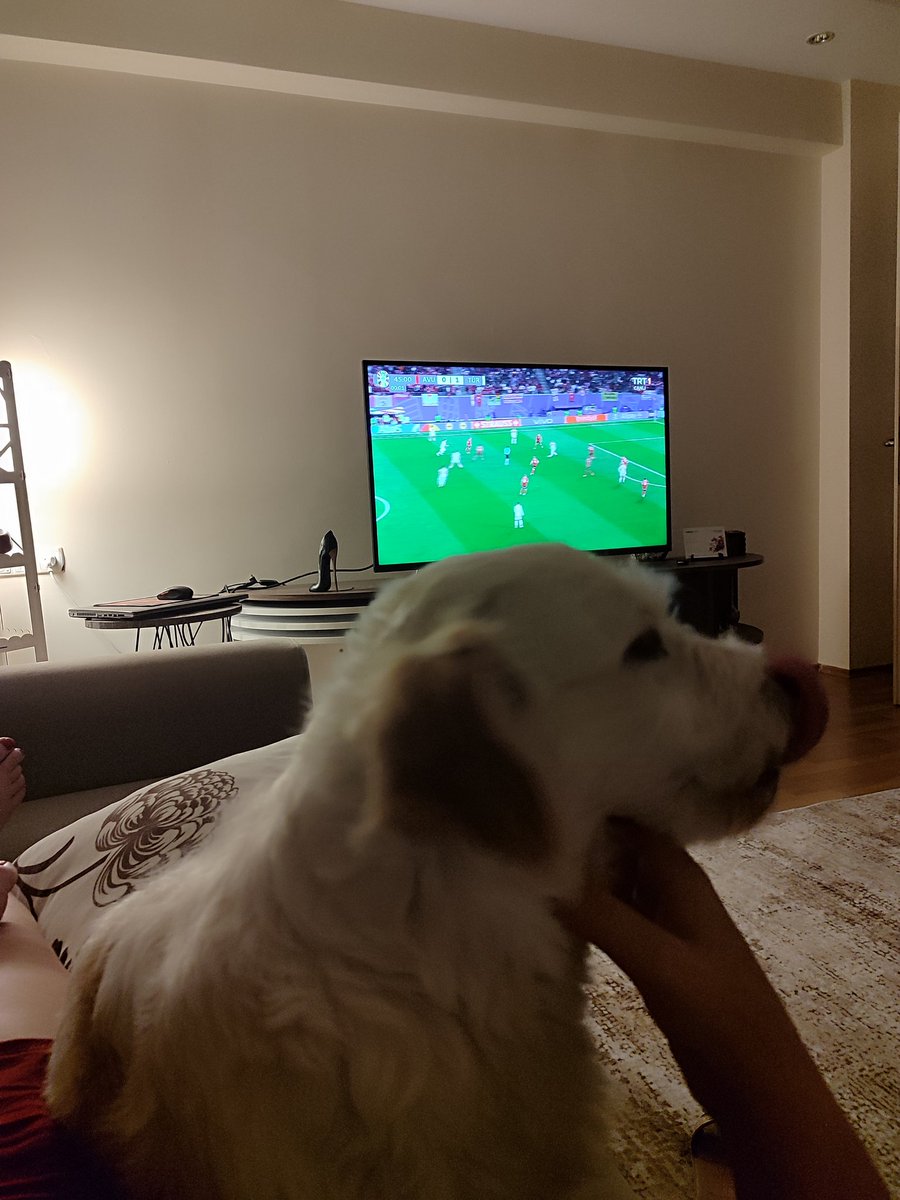 #AUTvTUR 🇹🇷🇹🇷🇹🇷