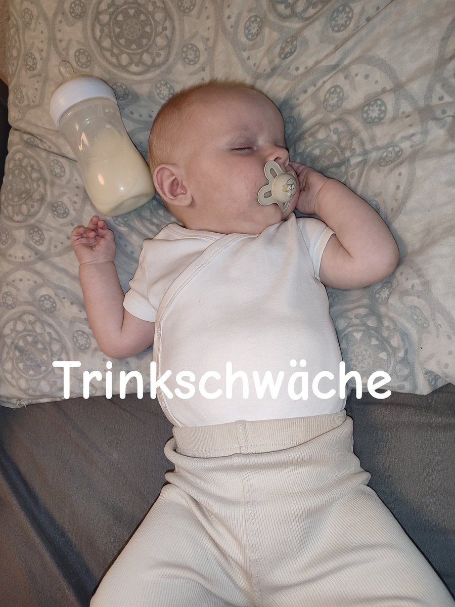 Elias_PHPV's tweet image. Seit zwei Tagen, fällt das Trinken wieder sehr schwer. Wir versuchen ihm alle 2 Stunden was anzubieten.
Wer uns ein wenig unterstützen mag der darf das gerne tun gofundme.com/f/blind-seit-g…

Gerne dürft ihr uns auch auf insta Folgen 
instagram.com/phpv_pfv?igsh=…