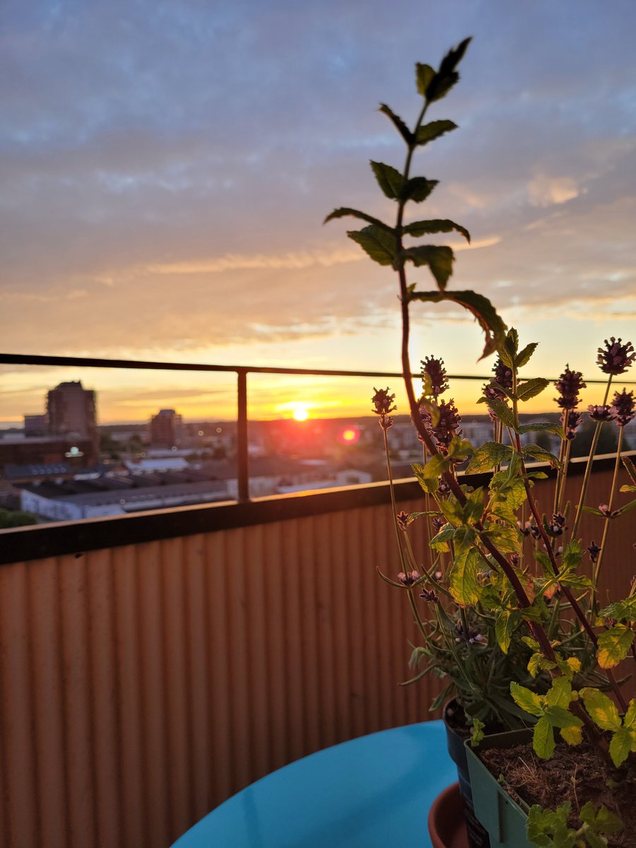 AngelBerglund's tweet photo. @ThomasDiLeva Ja, verkligen!❤️ Hoppas, att du och din familj har detsamma.🌞🍀 https://t.co/sufyv2mghp