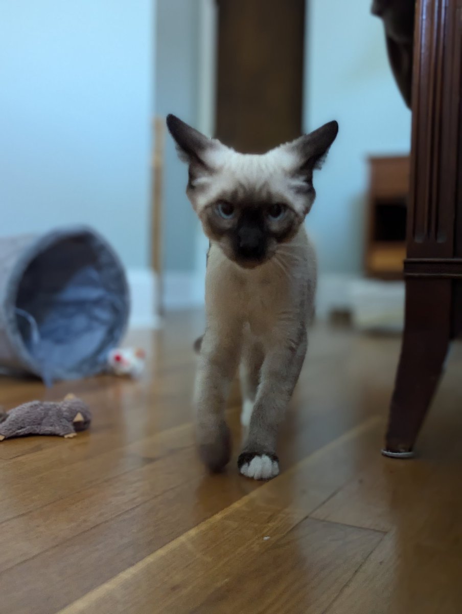 JSmithOTI tweet media