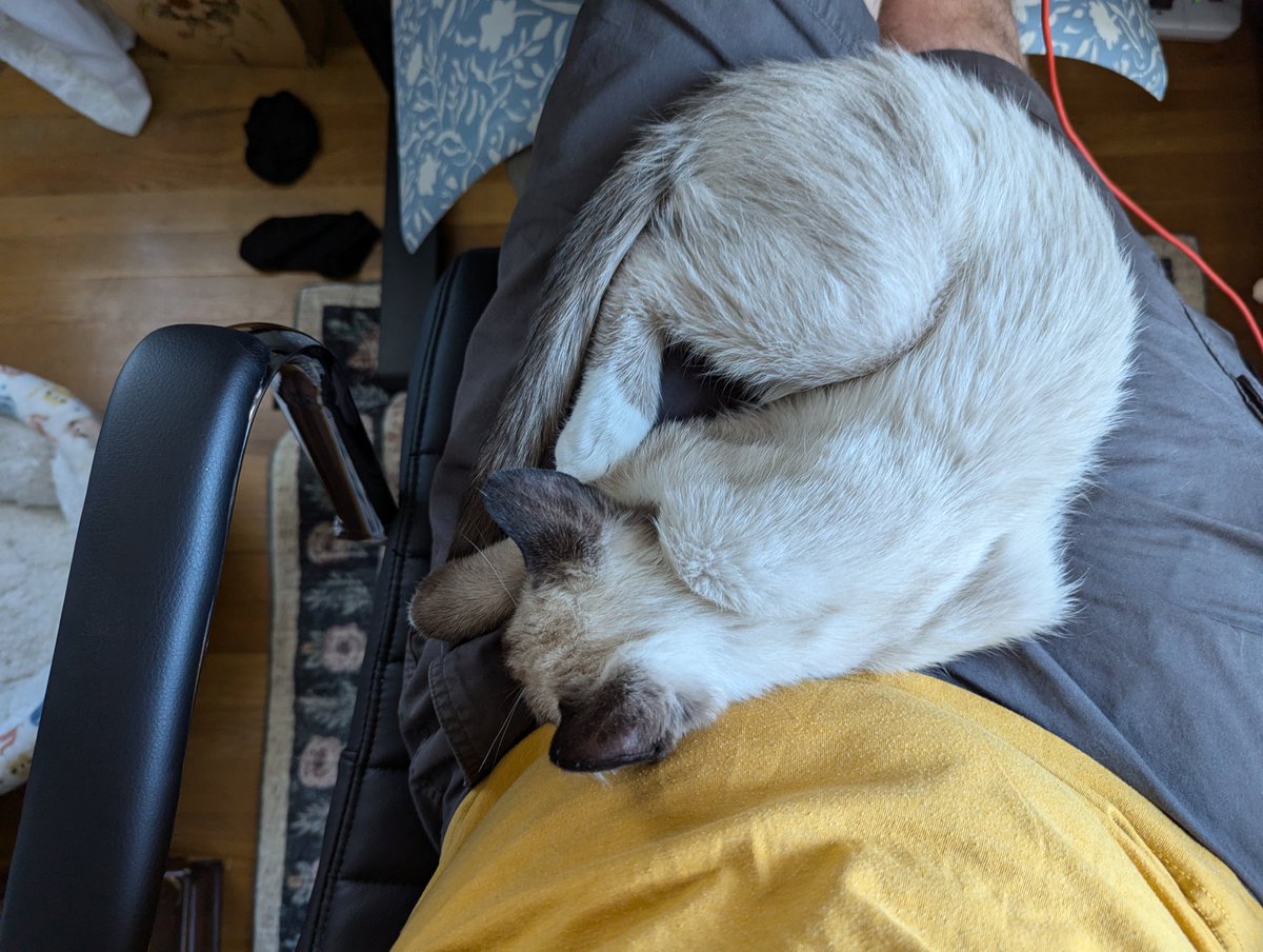 JSmithOTI tweet media