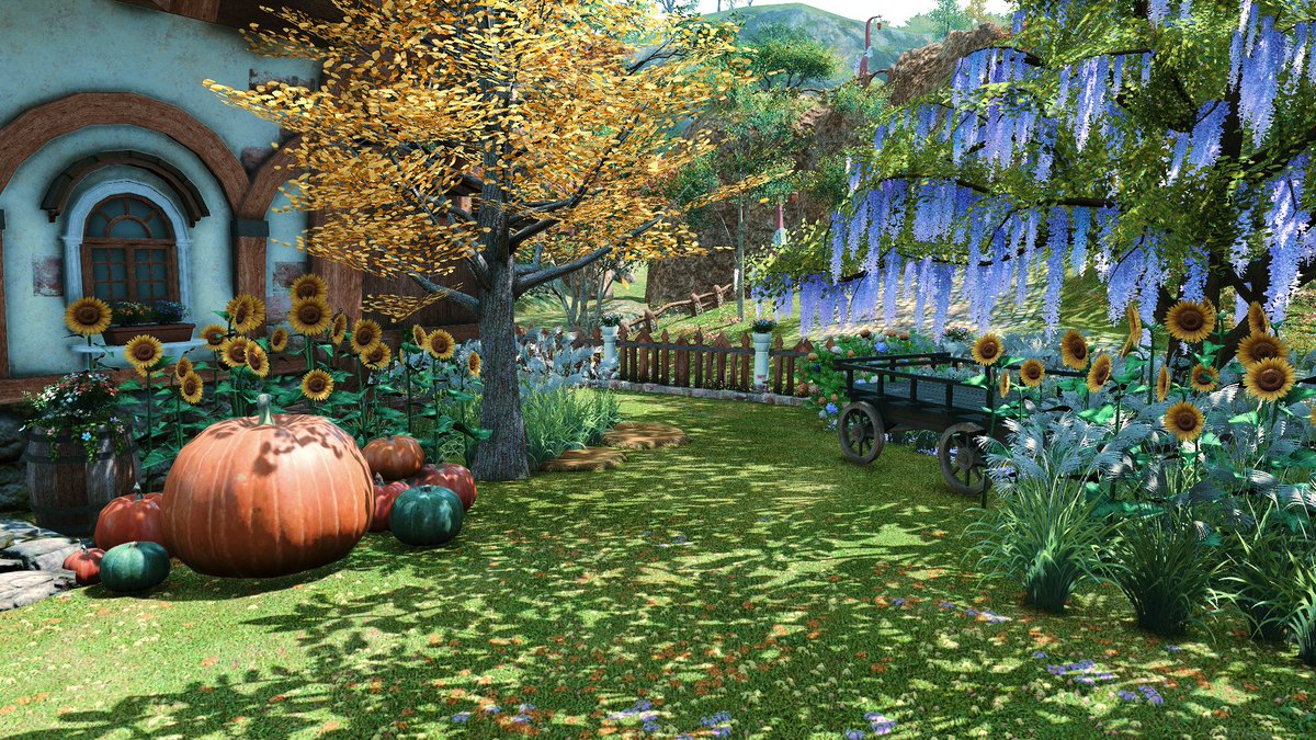 maple_blackwell's tweet photo. Just perfect 🌻🍂 https://t.co/yFxioaEZQt