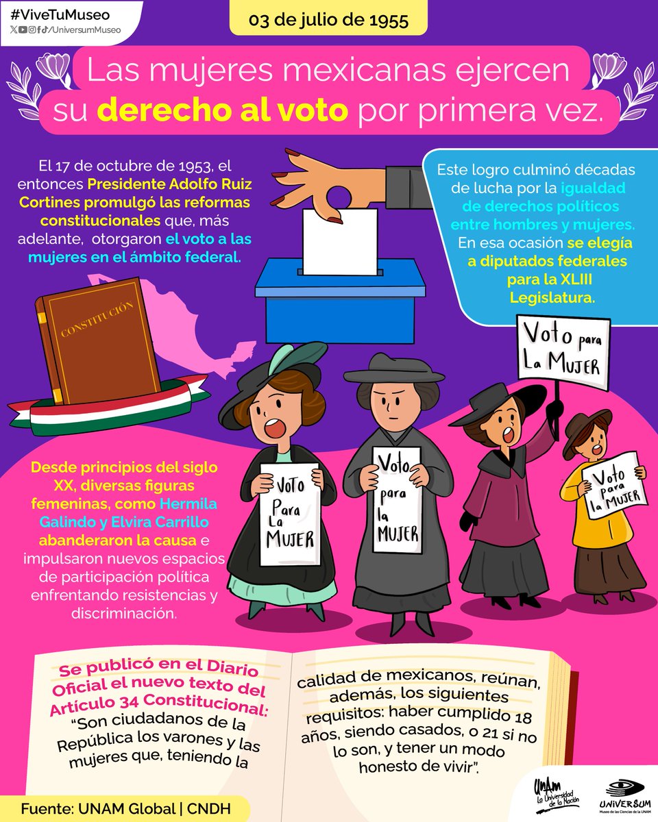 #UnDíaComoHoy las  mujeres  mexicanas  votan por primera vez en elecciones federales. 👩👩‍🦱👱‍♀️👩‍🦳

#ViveTuMuseo