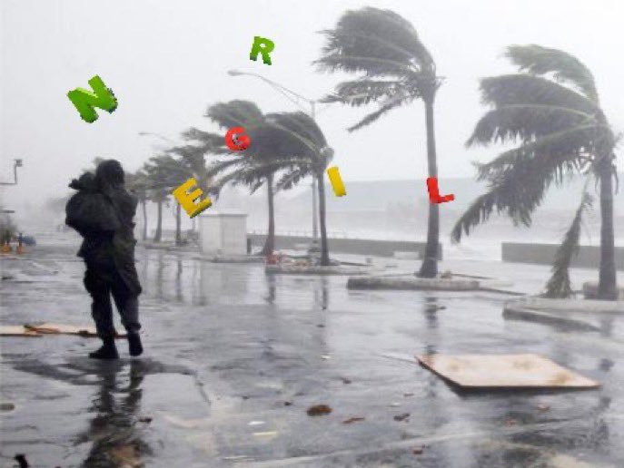 Calendar Boss 🇯🇲 tweet media