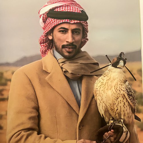 مـوطــن tweet media