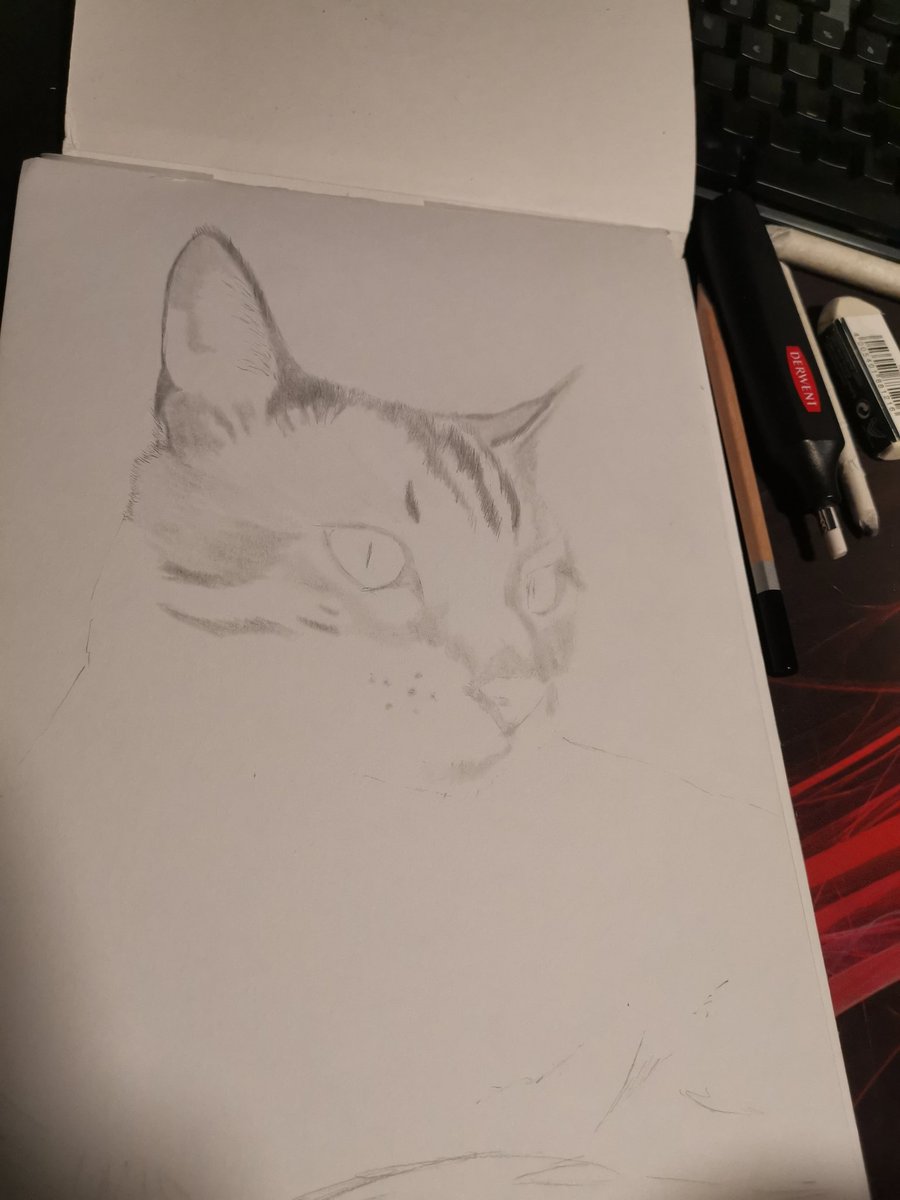 Trying to remember how to draw again 🤓
Lined up 7-8 animal projects to get back into it ❤️
