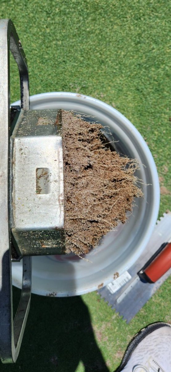 Big shout out to <a href="/redoxgrows/">Redox</a> <a href="/HCTSolutions/">teden@hctllc.com</a> for this great success! Thanks to these amazing products, our customers managed the worst winter conditions we saw in a decade with no issues. 
This root mass speaks for itself.