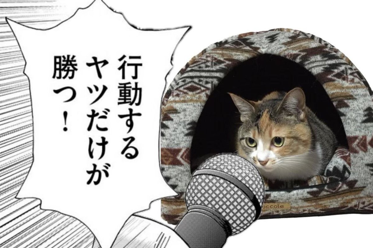 TcMisawo2021's tweet photo. 今日もチャンスを物にするのみ。近未来に向けて。

#ChaseTheChance
#チャンスアンドチャンスだと思ってた https://t.co/vV39havlJA