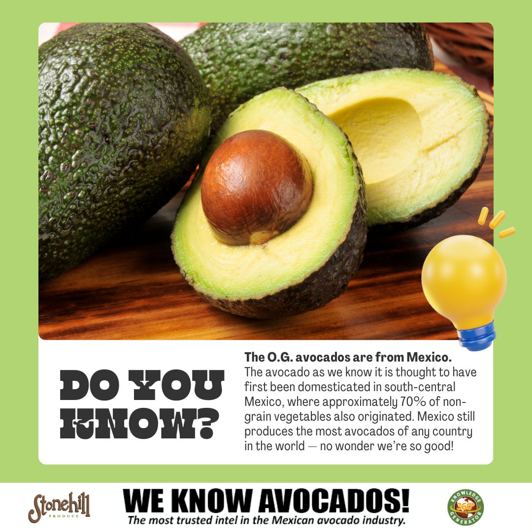 HassAvocadoXprt's tweet image. We are the leading Mexican Hass avocados importer in the U.S., and we know #avocados! 🥑

Learn about our team and how we provide the MOST TRUSTED intel on the U.S. Avocado Deal at StonehillProduce.com

#avocadotoast #avolovers #grocery #supermarkets #supermarketnews #fruit