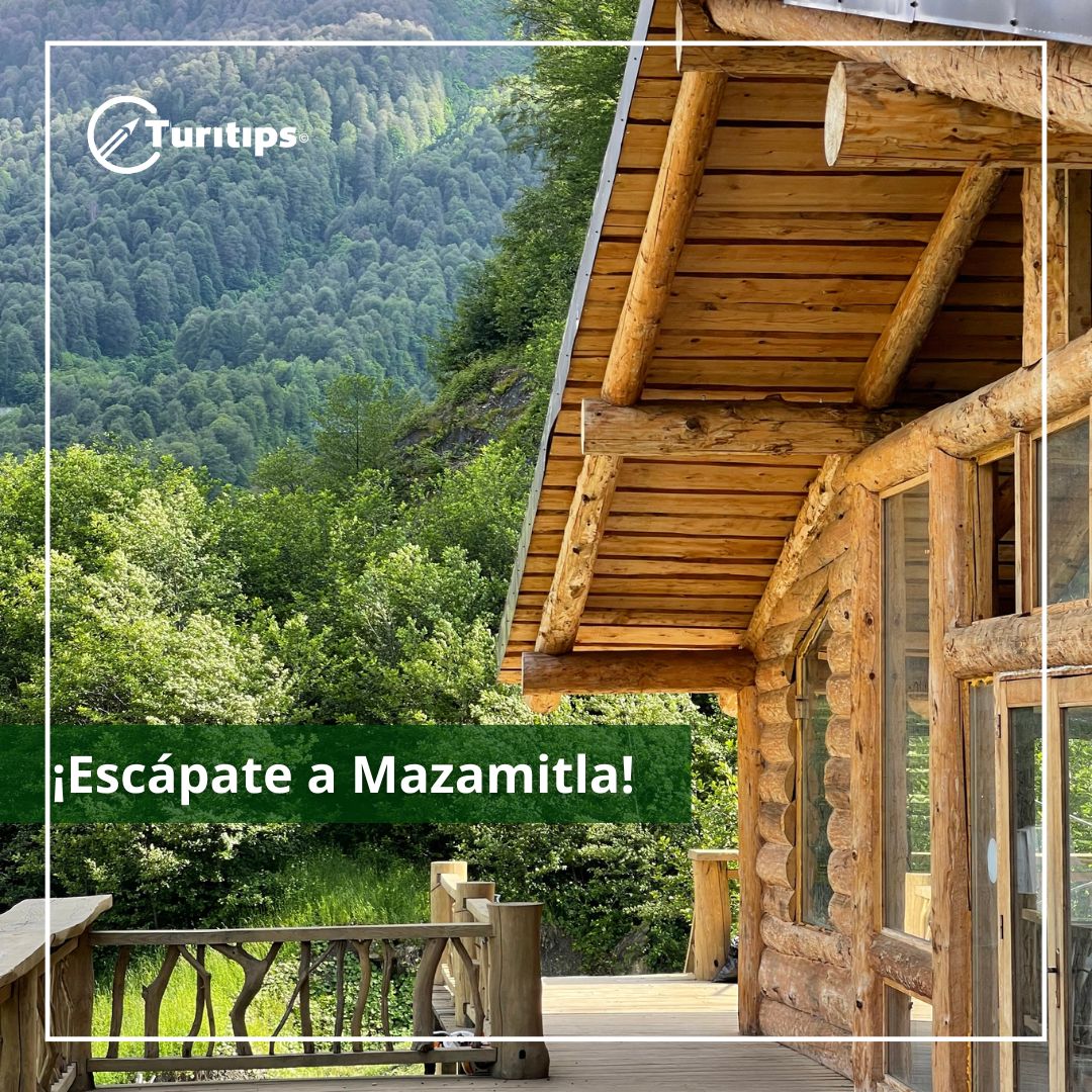 turitipsmx's tweet photo. 🌲✨ Disfruta de la magia del bosque y la lluvia desde una acogedora cabaña. Perfecto para una escapada romántica o una aventura familiar. 🌧️🏡 #mazamitla #naturaleza #viajes #Turitips 
https://t.co/X8ryIgelDu https://t.co/LYITyXtc1q