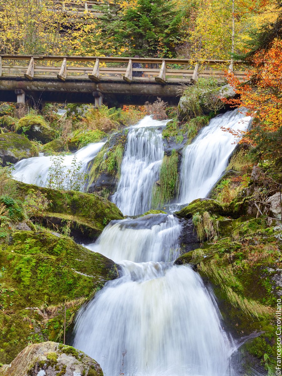 GermanyTravelJP's tweet image. 黒い森の中を走る田舎道を抜けその中心部にあるトリベルクへ。 
まず何をしましょう？
①ドイツいち落差の大きい滝へお散歩
②世界最大のカッコウ時計を見学
③黒い森のさくらんぼケーキを賞味
オリジナルレシピがもらえるケーキセミナーも地元のカフェで開催されていますよ！
#GermanySimplyInspiring