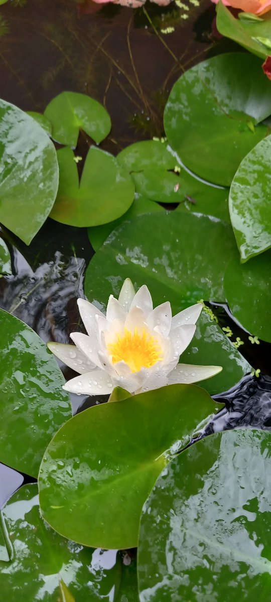 좋은 시간 되세요