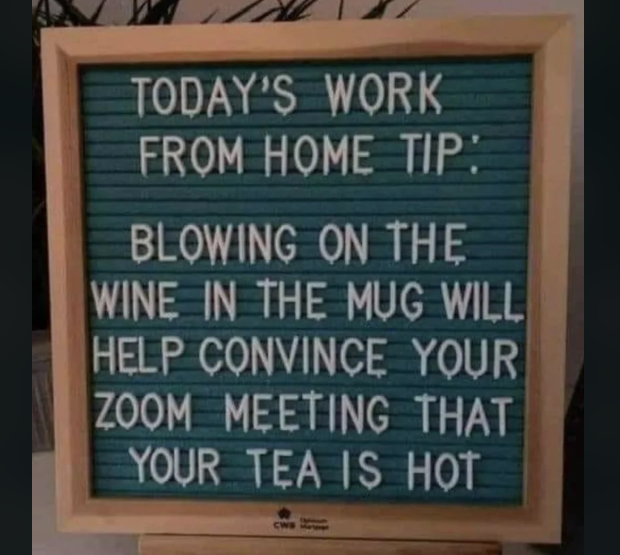 forthspark's tweet image. #Protip for people who #WorkFromHome.