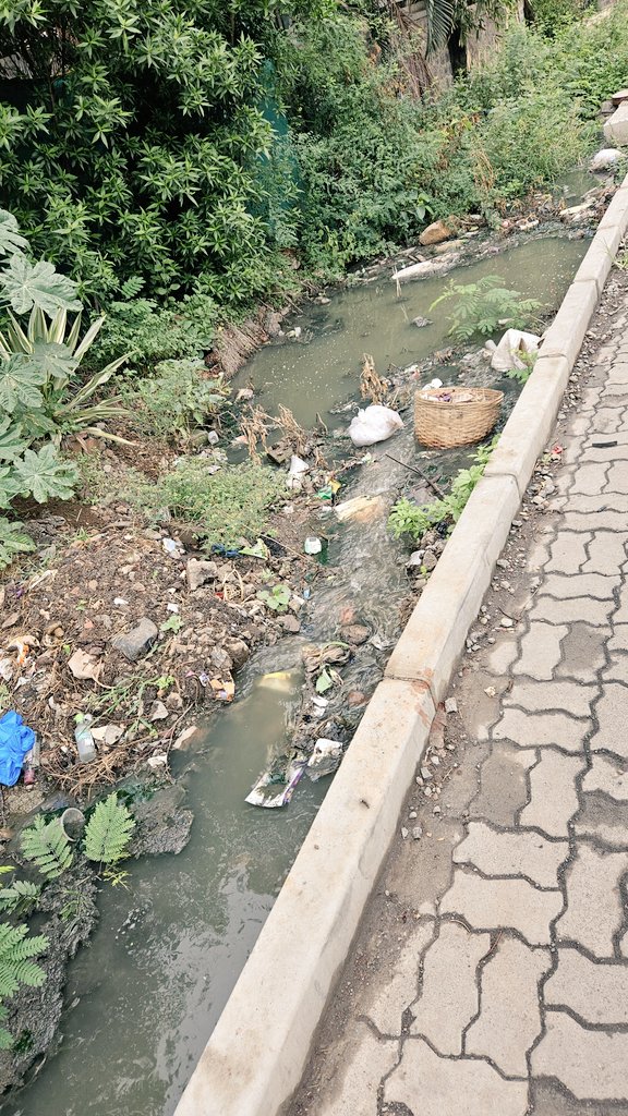 Elankumaran tweet media