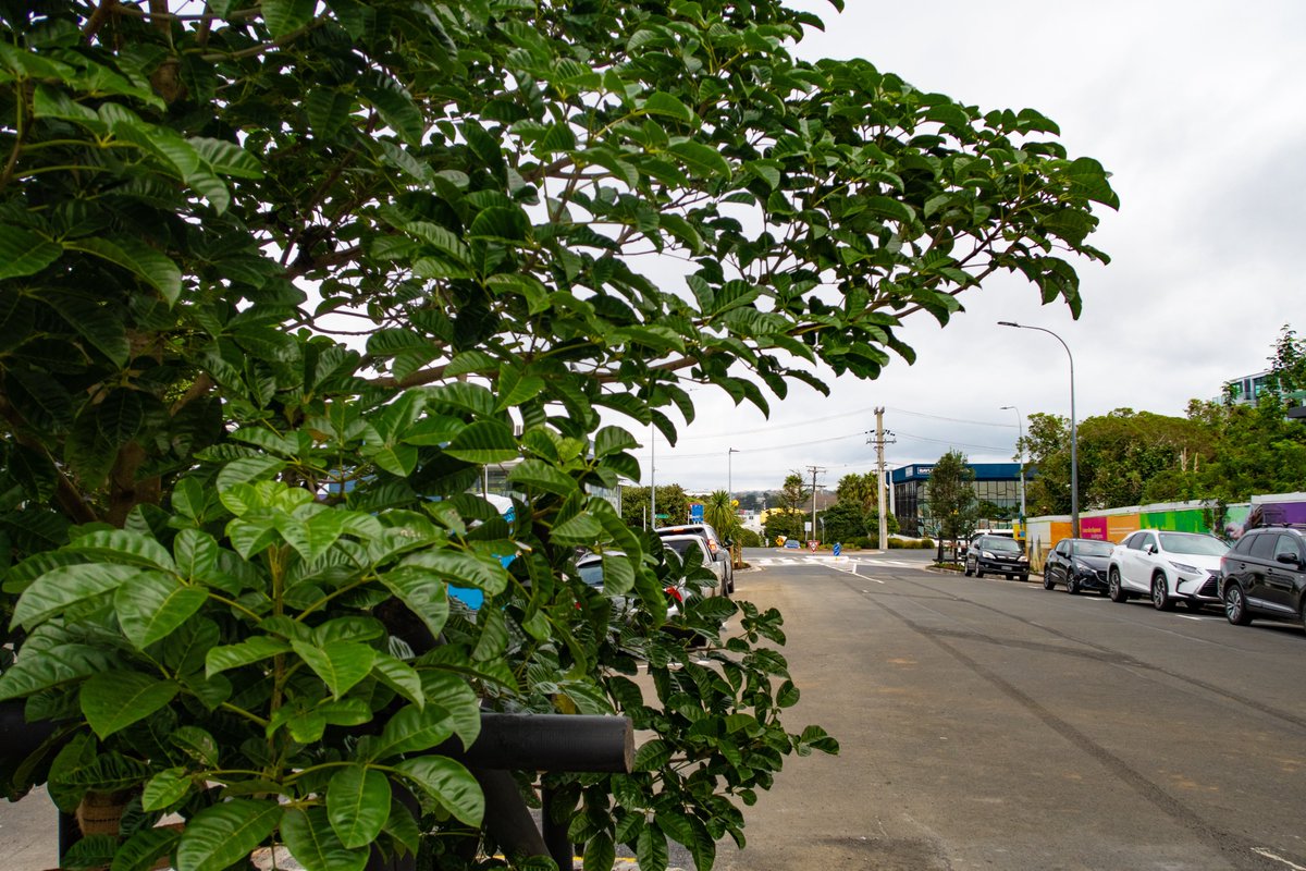 Northcroft Street, Takapuna, is looking good!
Safety and environmental improvements have been completed. There’s improved lighting, a safer crossing, and new trees and plants.
<a href="/ILoveTakapuna/">Takapuna Beach</a>