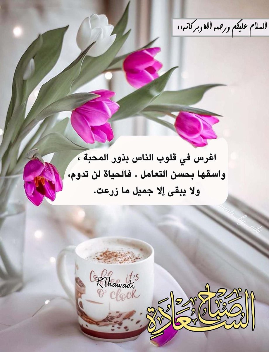 nabile botri tweet media