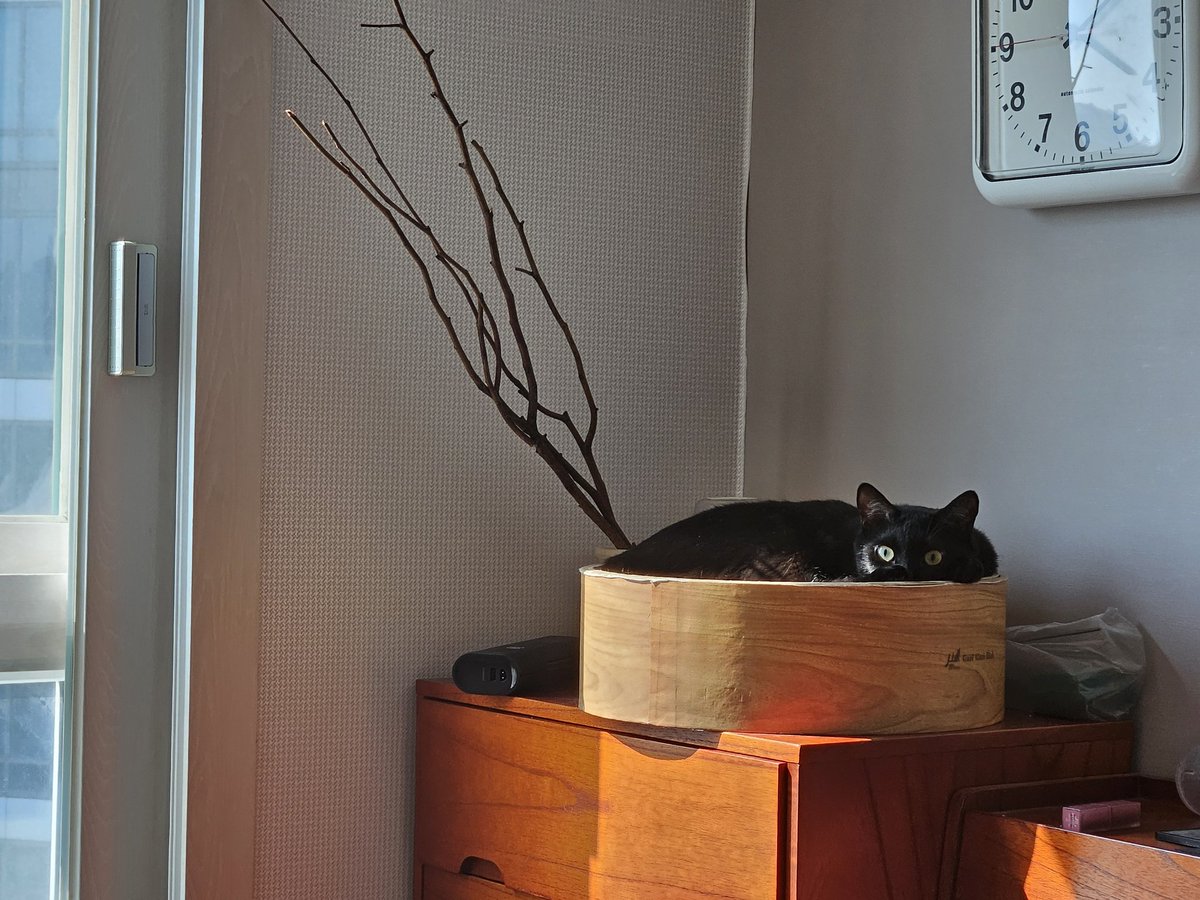 dotkavi's tweet image. 이자리가 제일 좋아