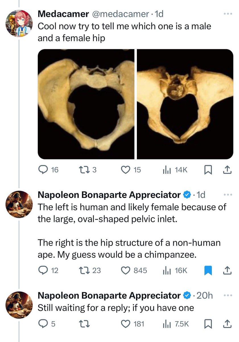 Rothmus 🏴 tweet media