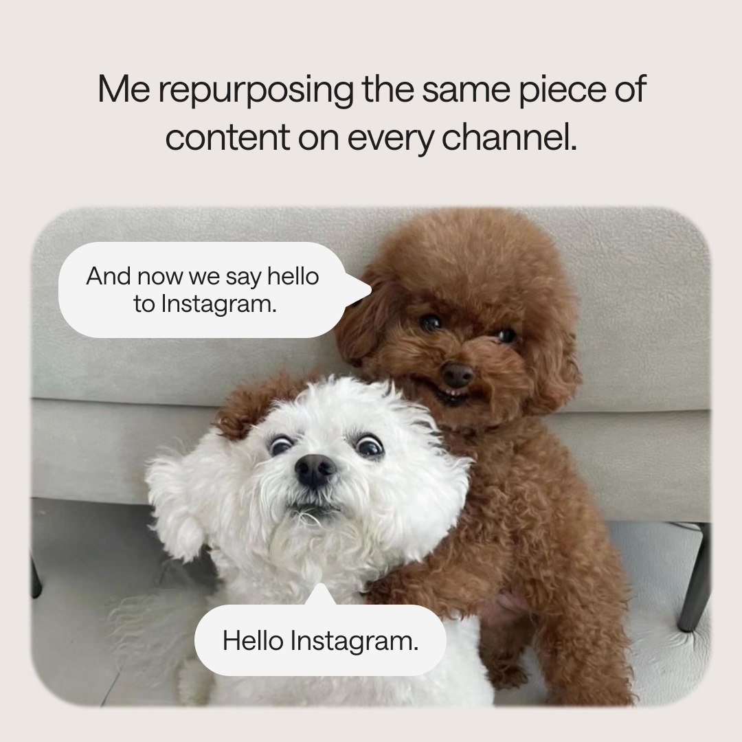 Reshare from <a href="/latermedia/">Later</a> - Work smarter, not harder!

🐶 📷: <a href="/arang2o_o/">함아랑</a> ⁠

#socialmedia #socialmediatip #socialmedia101