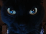 CaseohsCosmos's tweet photo. ⚠️ BREAKING NEWS! ⚠️

CASEOH HAS PICKED UP KITTYEIROS-1! our rocket was sent to trick caseoh into thining it is kitty, and it worked! this picture is not actually kitty, it is our disguise rocket. https://t.co/WKac72xnt9