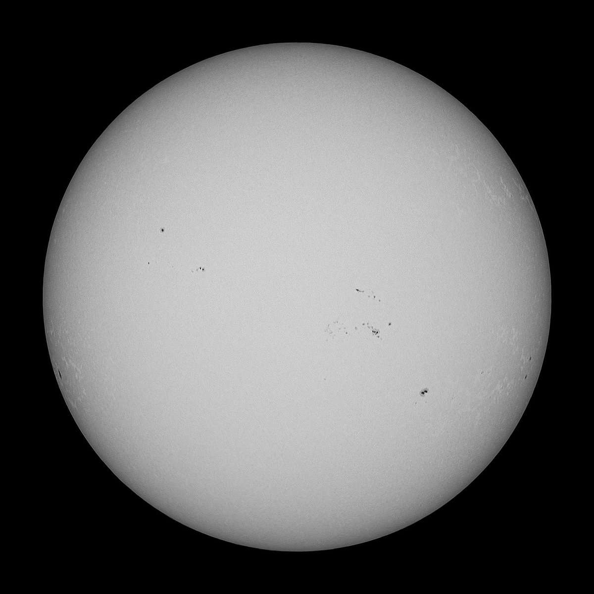 tahiti_express's tweet photo. #Sunspot 2024-07-03 11:05:59 UTC+9 (#Japan)
晴れたが蒸し暑く鏡筒の移動で大汗をかいてしまった。
S17E78 付近に新黒点が見えてきた。

#Sun #ASTF200 #C8 #Zfc #愛知県尾張旭市
https://t.co/Qz1sgJCtFd https://t.co/f34AstEOaS