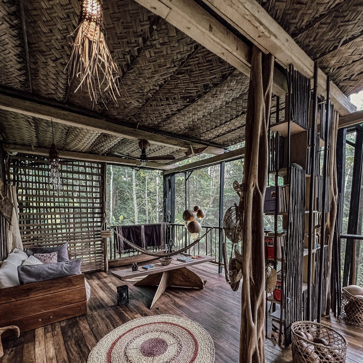 Au cœur de l’Amazonie 🦋🦋🦋
#Amazonie