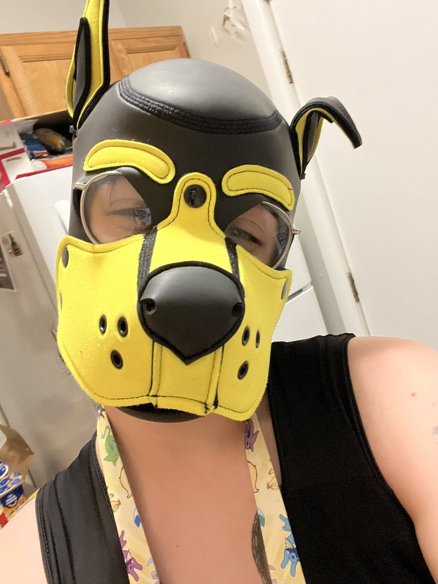cattledog tweet media