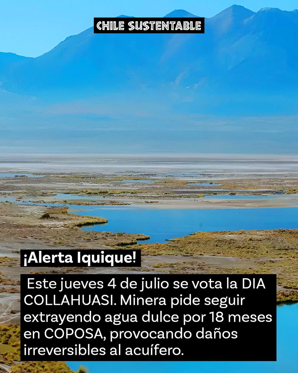 ONG_CHS's tweet image. Este jueves se votará la DIA que podría permitir que #Collahuasi siga extrayendo agua de Coposa, dañando irreversiblemente al acuífero 👀

¡Llamamos a las autoridades a RECHAZAR la DIA y proteger los recursos hídricos ! 

👉🏼Declaración Pública: goo.su/qVwBs