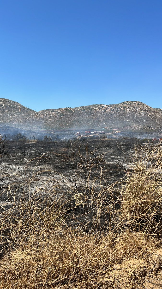 CALFIRESANDIEGO's tweet image. #BorderFire [Update] the forward progress of the fire has been stopped.
