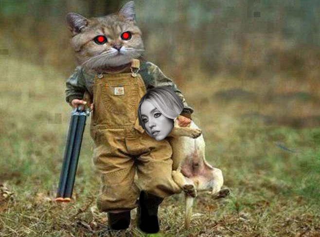 Hunter Cat | $HC 😼 tweet media