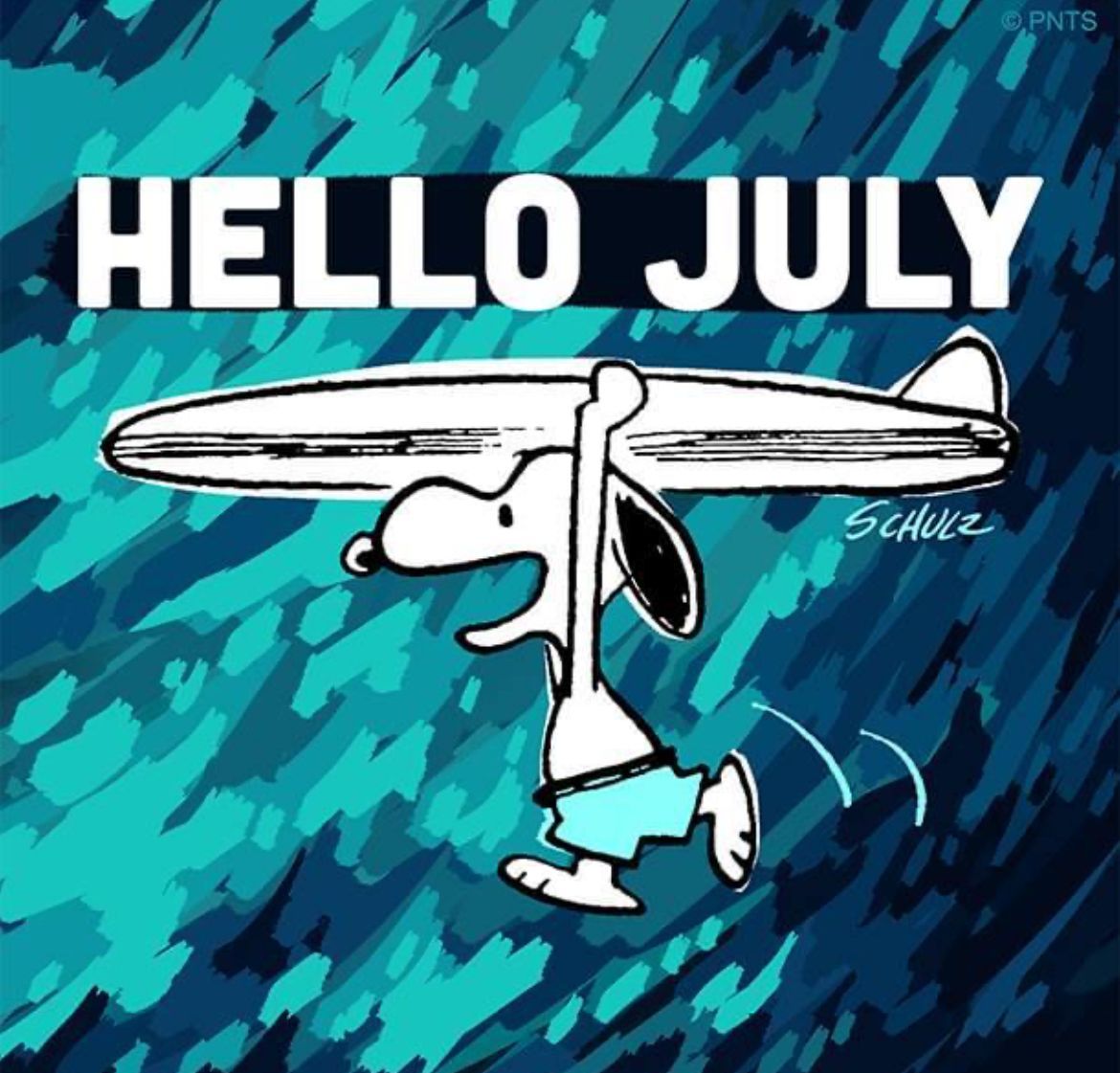 Peanuts_4Fans's tweet image. Hello July! #Peanuts