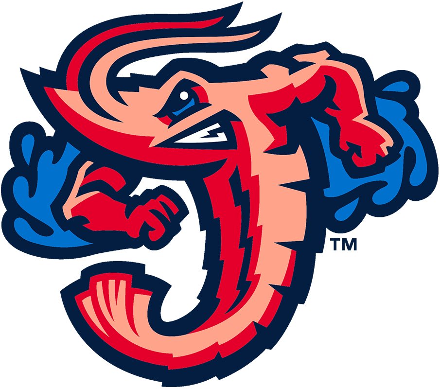 Join us on July 30th for an exciting event that combines two amazing things - baseball, and dogs! 🐶⚾️ 

H.E.A.D on youth impact is proud to partner with the <a href="/JaxShrimp/">Jacksonville Jumbo Shrimp</a> during their Dog Day and <a href="/BishopSnyderHS/">Bishop Snyder High School</a> for their alumni night. We appreciate their commitment to making an