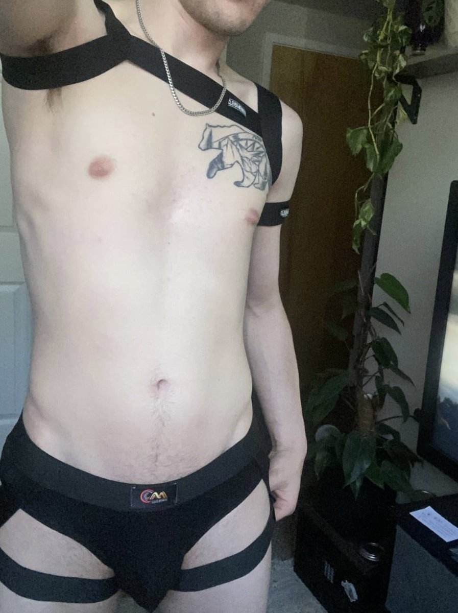 studdemon69's tweet photo. First post 😈 https://t.co/dWd2izaOff