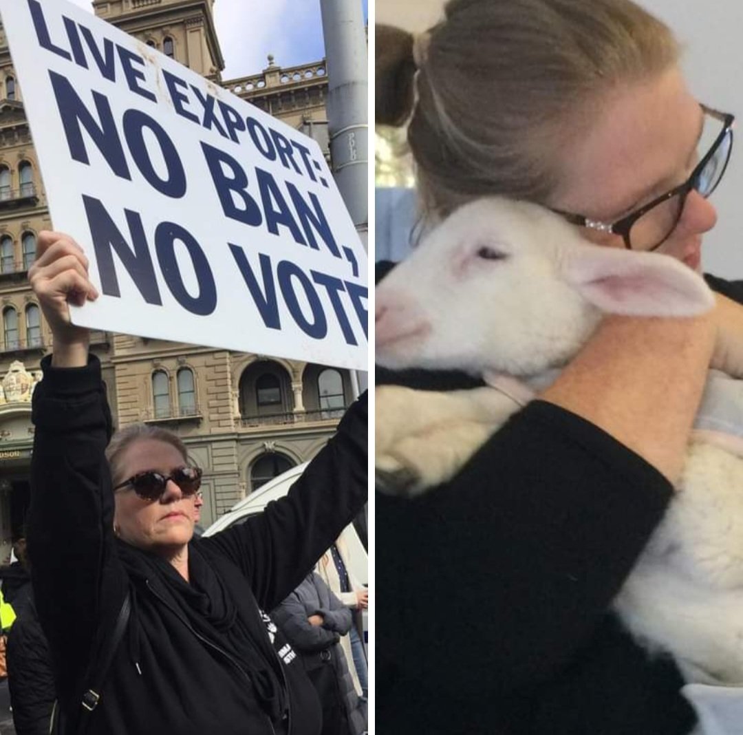 It has taken decades of advocacy &amp; and finally, we have a date to end live sheep export by sea enshrined in legislation. 
Live sheep exports by sea will end in 2028.
#endliveexport