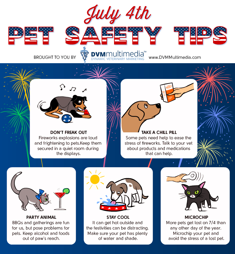 rochopeforpets's tweet photo. We wish you all a very happy and safe 4th of July! https://t.co/4fOIqogsy1