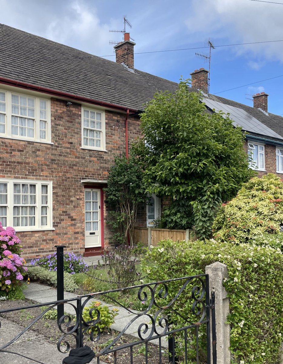 Tim Weis tweet media