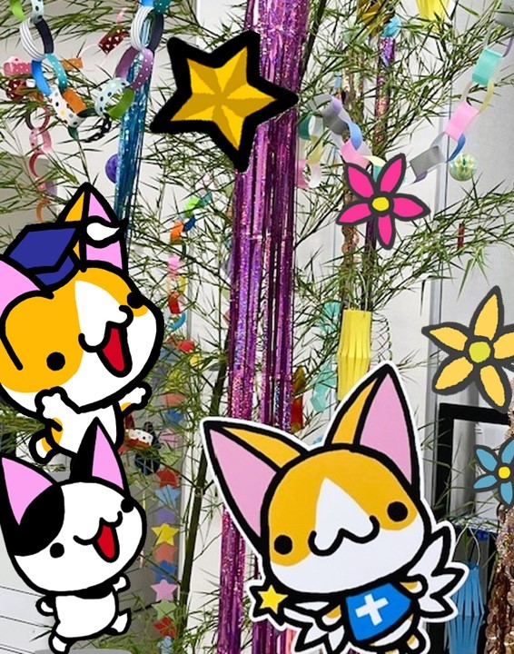 scu_cat's tweet photo. 市駅キャンパスの1階にも七夕の笹飾り🎋があるんだニャン♪
みんなの願いが込められた短冊🎋、いっぱい集めて届けるニャン🐱👼☆
#愛媛県 #大学 #UniversityCat #July #TANABATA #七夕 #猫 #笹 #scu #聖カタリナ #市駅キャンパス https://t.co/GyWHYDRma7