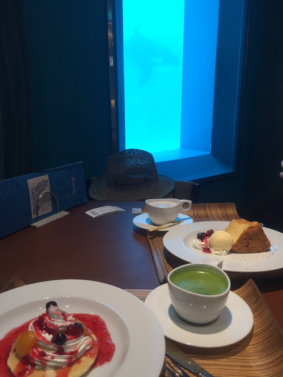 Maru_Vo's tweet photo. @tan_sui_kabutz 結構前の写真ですが鴨川シーワールドのシャチプール下レストランでお茶しました。 https://t.co/876TQzRA4U