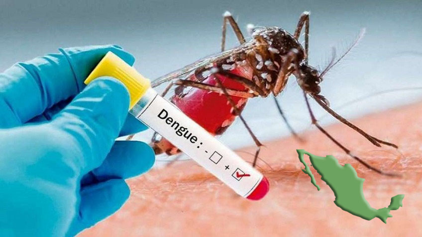 HAY CRISIS DE DENGUE EN MÉXICO. Nuestro país sufre #CrisisDeDengue al registrar más de 18 mil contagios y especialistas aseguran que las lluvias son factor para el aumento de casos, pero el detonante es que el <a href="/GobiernoMx/">Gobierno de México</a>, AMLO, Morena y los gobiernos estatales no tomaron las