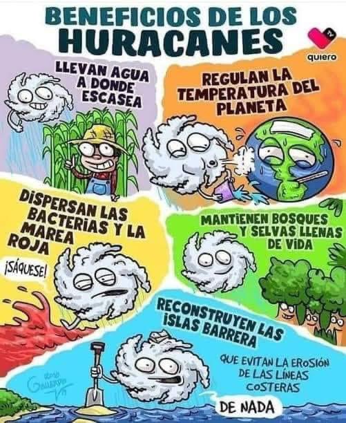 LiliAna tweet media