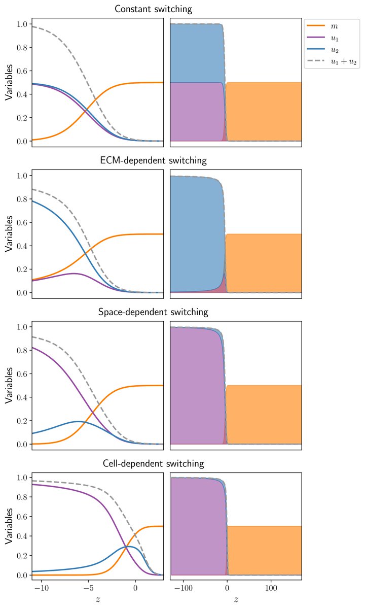 Rebecca Crossley (@rmcrossley) on Twitter photo Very excited to share our latest publication showing it turns out sometimes it might be better (and looks cooler too) to be a specialist than a generalist! w/<a href="/ruth_baker/">Ruth Baker</a> et al. 😎😊
Have a look here: doi.org/10.1016/j.mbs.… Very excited to share our latest publication showing it turns out sometimes it might be better (and looks cooler too) to be a specialist than a generalist! w/<a href="/ruth_baker/">Ruth Baker</a> et al. 😎😊
Have a look here: doi.org/10.1016/j.mbs.…