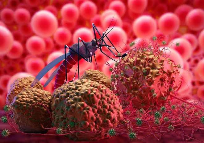 La proliferación del #dengue en varios estados del país es alarmante. La falta de campañas preventivas está cobrando vidas. Puebla ya acumuló 532 casos de dengue en el primer semestre de 2024. 
En #Puebla y en el país estamos en #CrisisDeDengue 🔴🚨👀