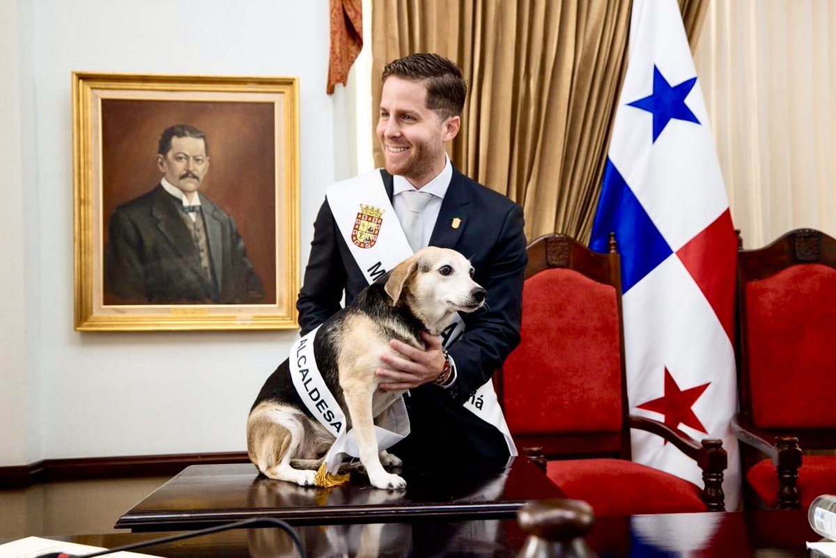 Mayer Mizrachi tweet media