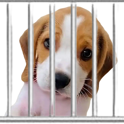 Dont fade me 😢
#winston