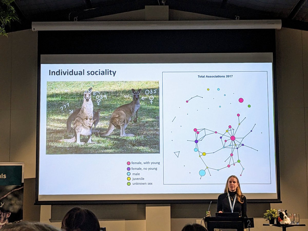 Kerry Fanson tweet media