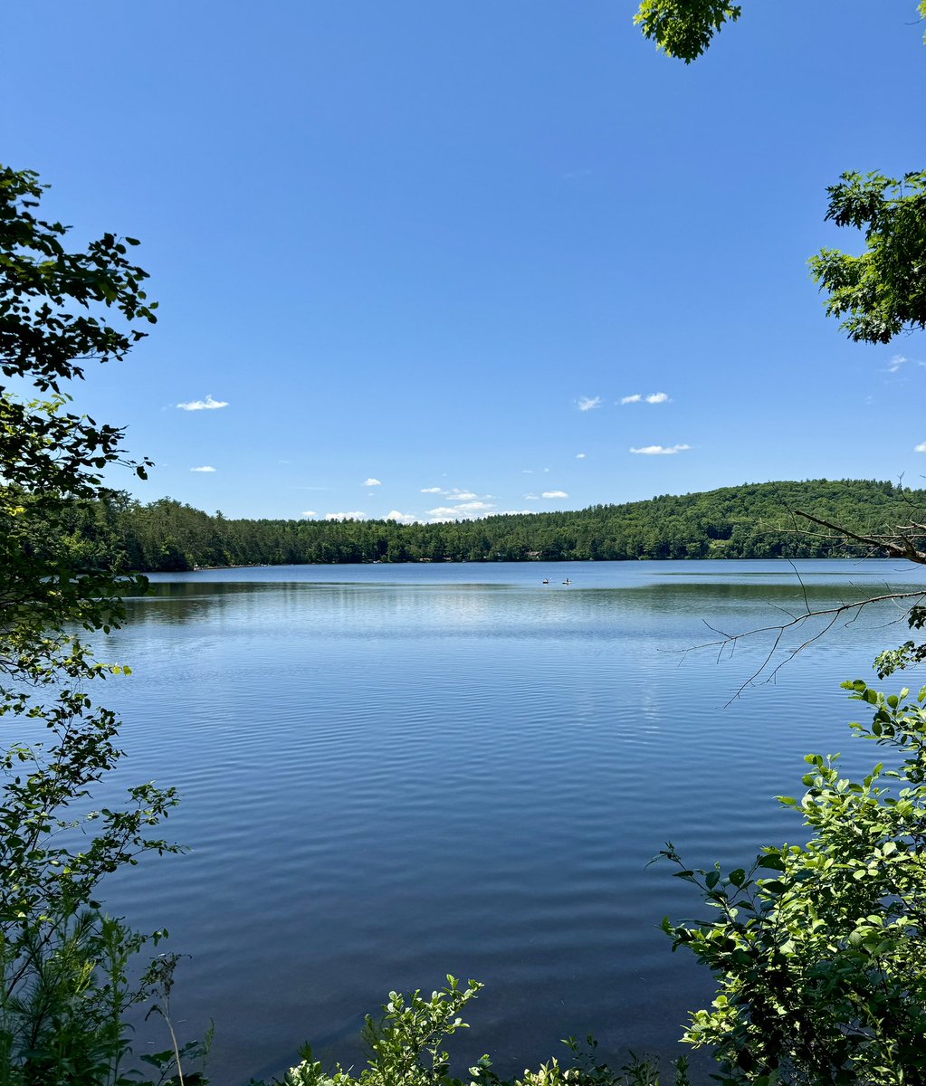 Sarah McCraw Crow tweet media