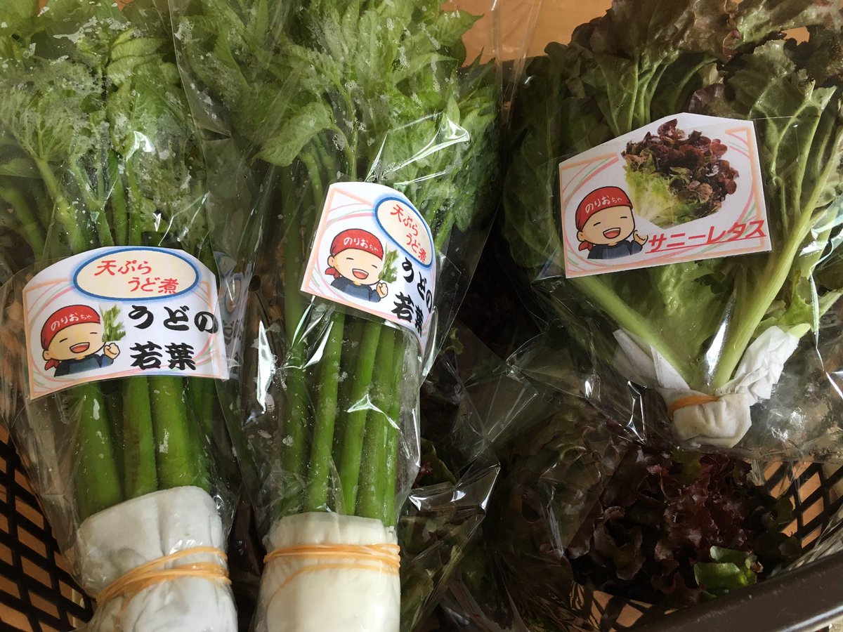 【7/3 産直出品情報】

「のりおちゃ」こと伊藤憲雄（父）が、道の駅いいでの直売所に野菜などを出品しております。

本日は　うどの若葉 2袋、サニーレタス 5袋

お近くのご入用の方はぜひお求めください。

どうぞよろしくお願いいたします🥬

#飯豊町 #道の駅いいで #めざみの里観光物産館 #直売所